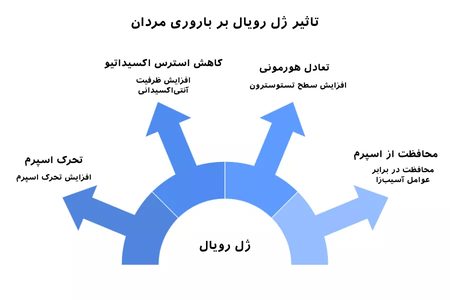 ژل رویال چگونه بر باروری مردان تاثیر می گذارد؟