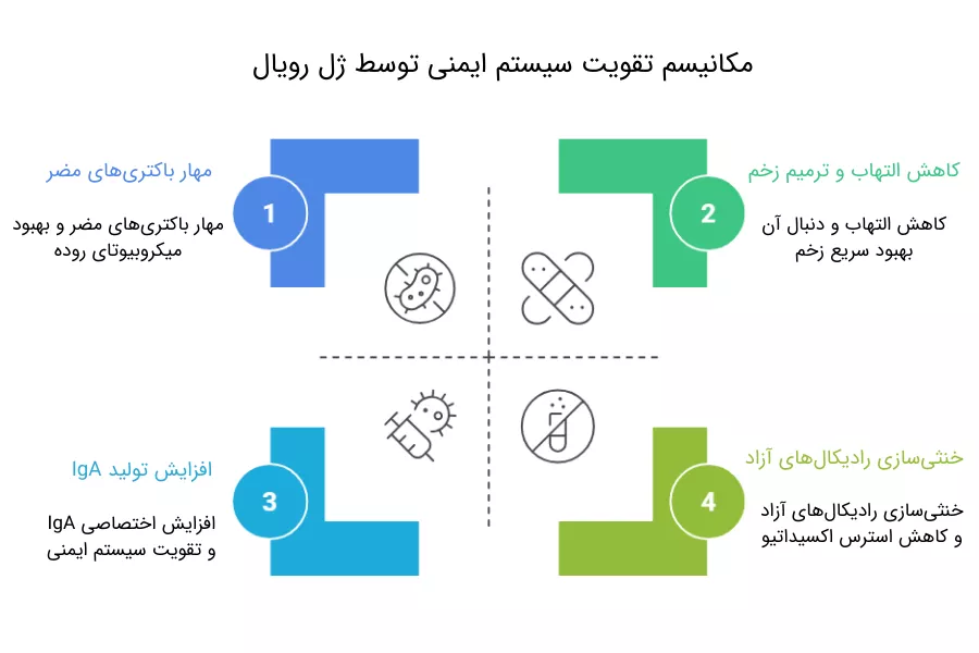 تاثیر ژل رویال بر سیستم ایمنی بدن